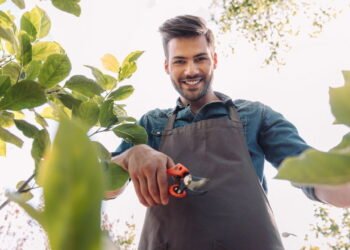 Como a poda pode transformar o crescimento das suas plantas