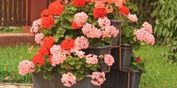 Hortas móveis ganham destaque nas cidades ao redor do mundo