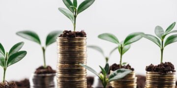 O melhor momento para investir em renda variável é agora em 2025