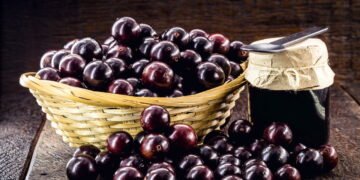 Quem quer jabuticaba fresca em casa precisa conhecer isso