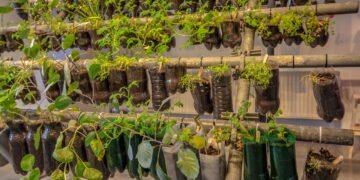 Como montar um jardim suspenso em espaços pequenos usando paletes