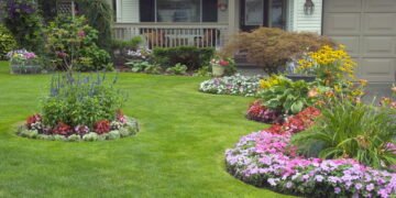 Biofilmes na agricultura urbana! Um novo caminho para o cultivo em espaços pequenos