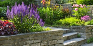 Biofilmes na agricultura urbana! Um novo caminho para o cultivo em espaços pequenos