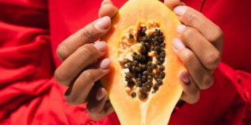 Como plantar mamão em casa e aproveitar seus benefícios para a saúde