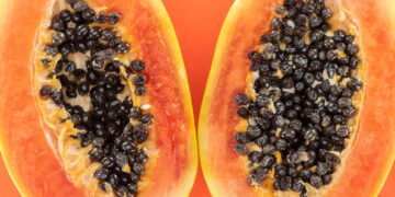 Como plantar mamão em casa e aproveitar seus benefícios para a saúde