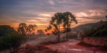 Roteiro completo para aproveitar o inverno em Minas Gerais neste ano