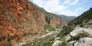 Fatores ambientes estão influenciando mutações genéticas em plantas