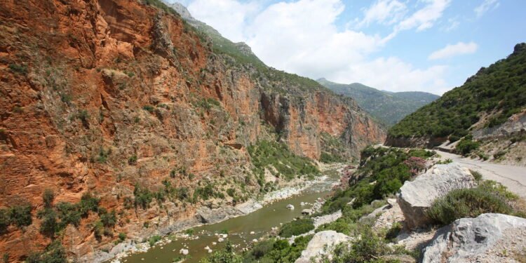 Fatores ambientes estão influenciando mutações genéticas em plantas