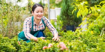 Conheça o remédio natural que alivia o estresse e melhora seu bem-estar