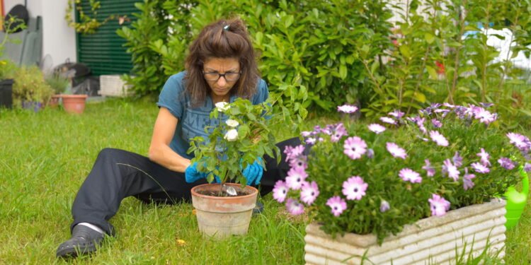 Jardim - Créditos: depositphotos.com / fbxx