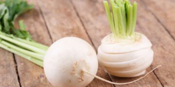 Aprenda a cultivar nabo e colha raízes nutritivas o ano todo