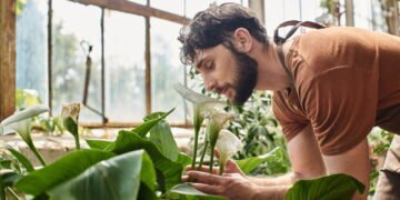 Como a biofilia sensorial pode melhorar sua saúde mental e emocional