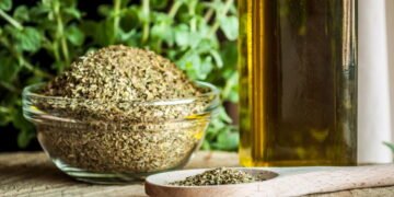 O segredo para plantar orégano e ter colheita sem fim