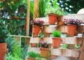Passo a passo para montar um jardim suspenso usando paletes reciclados