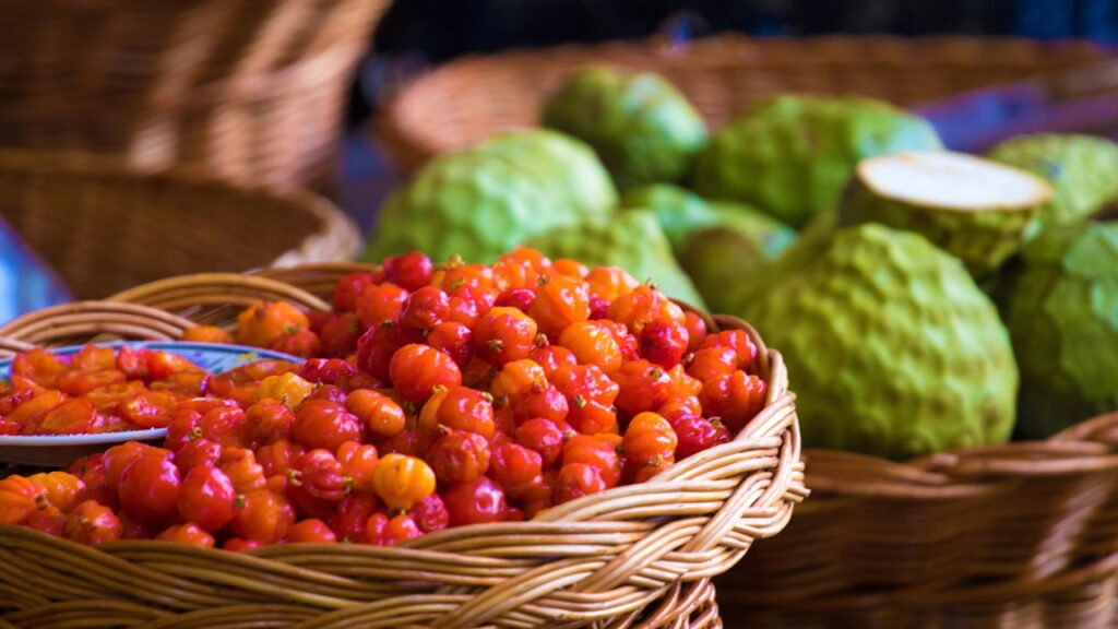 Saiba como plantar pitanga e ter uma colheita deliciosa e cheia de vitaminas