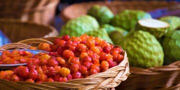 Saiba como plantar pitanga e ter uma colheita deliciosa e cheia de vitaminas