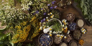 Como as plantas estão ajudando a prevenir doenças e melhorar a saúde