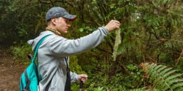 O fascinante mundo das plantas raras e sua importância para a biodiversidade