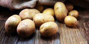 Dicas infalíveis para cultivar batatas saudáveis e saborosas