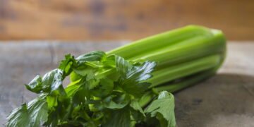 Salsão virou tendência nas hortas urbanas e o motivo vai te surpreender