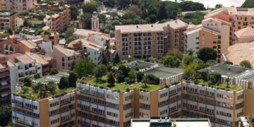 Esse truque de jardinagem simples e eficaz pode melhorar a sua vida