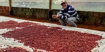 Expocafé em Minas Gerais discute clima, solo e protagonismo feminino