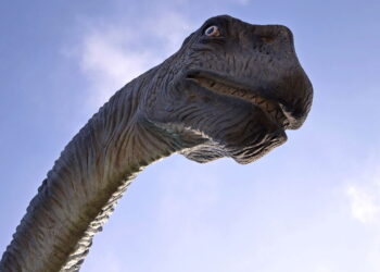 Baleia ou dinossauro? Conheça os maiores animais que já viveram na Terra