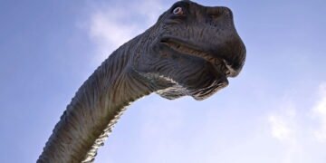 Baleia ou dinossauro? Conheça os maiores animais que já viveram na Terra