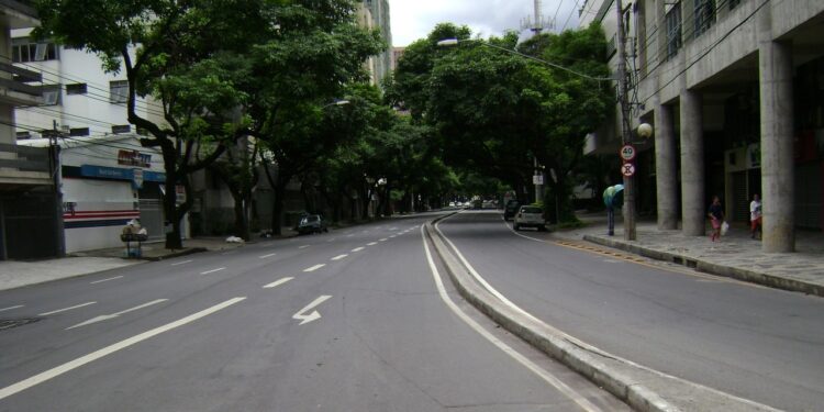 Em 7º lugar a “cidade jardim” de Minas enfrenta desafios em arborização