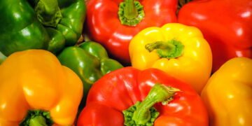 Conheça o passo a passo de como cultivar pimentões coloridos em casa