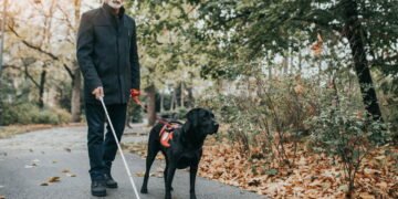 Tecnologia com IA ajuda pessoas com deficiência visual a se locomover com mais segurança