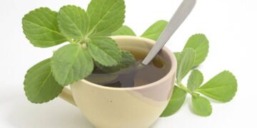 Você sabia? O chá de boldo pode transformar sua saúde digestiva!