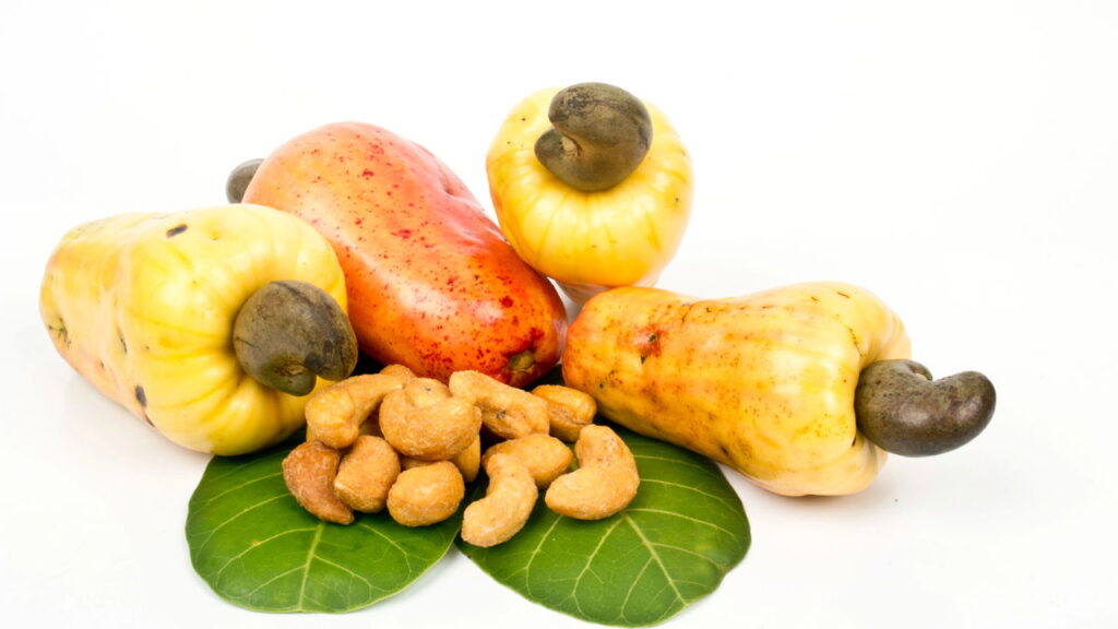 Conheça 5 benefícios do caju que vão mudar sua forma de comer