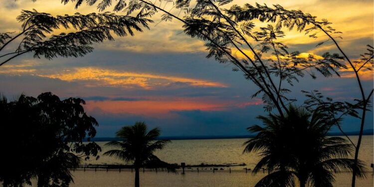 Palmas, Tocantins - Créditos: Wikimedia Commons