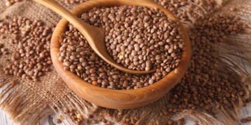 O que acontece com seu corpo quando você come lentilhas todos os dias?