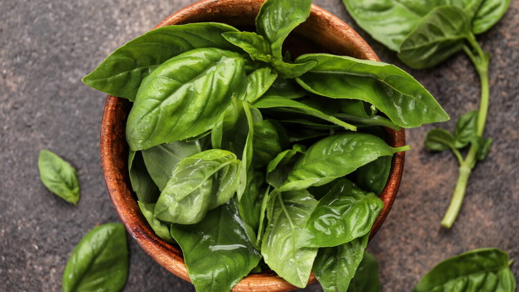 Aprenda a cultivar plantas que espantam formigas do jardim