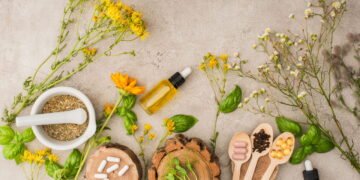 Plantas medicinais e fitoterapia, benefícios, formas de uso e cuidados essenciais