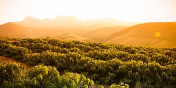 O maior evento da cafeicultura mineira começou e vai passa por 22 cidades