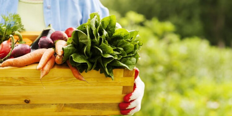 Eles fazem parte do seu dia a dia, mas agora são considerados armas naturais contra o câncer
