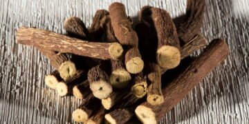 Saiba como plantar alcaçuz em casa e usar suas raízes medicinais