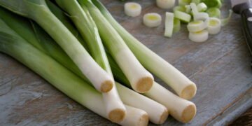 Passo a passo para cultivar alho-poró em vasos ou canteiros