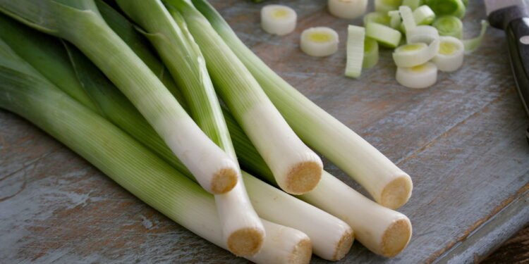 Alho poró - Créditos: depositphotos.com / neillangan