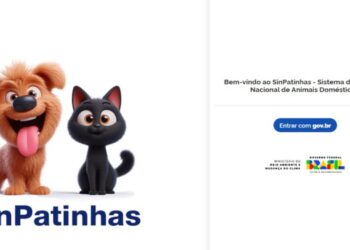 Histórico! Pets agora têm RG Animal gratuito com o novo sistema SinPatinhas