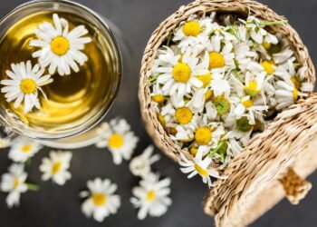 Por que tomar chá de camomila diariamente pode proteger sua saúde mental