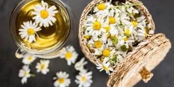 Por que tomar chá de camomila diariamente pode proteger sua saúde mental