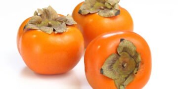 Passo a passo para plantar caqui e garantir uma colheita farta