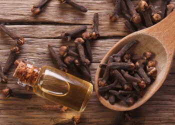 Aprenda a como plantar cravo-da-índia e cultive flores aromáticas em casa