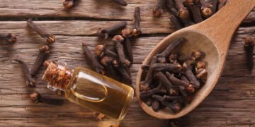 Aprenda a como plantar cravo-da-índia e cultive flores aromáticas em casa