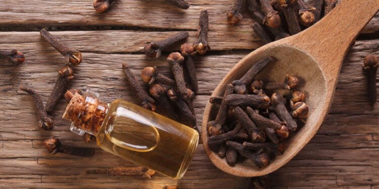 Cravo da Índia - Créditos: depositphotos.com / lenyvavsha