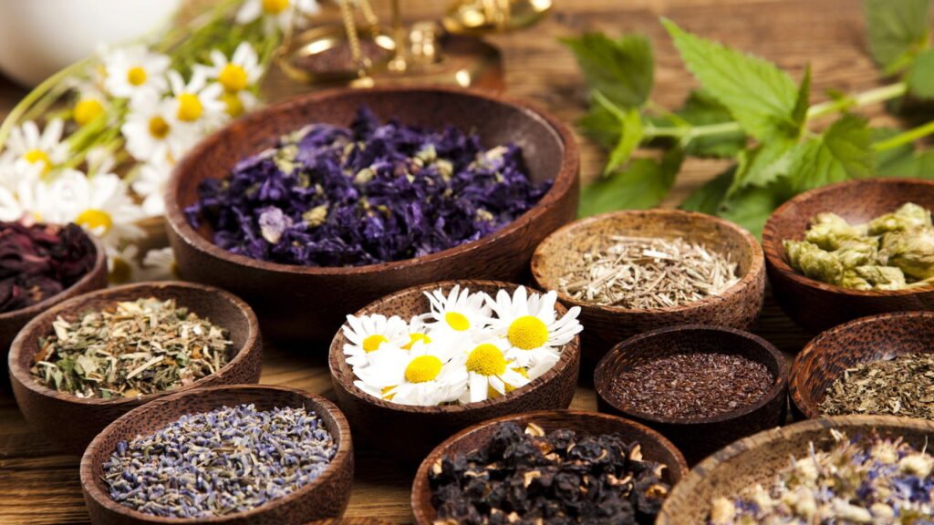 Plantas poderosas que melhoram a circulação e previnem a trombose